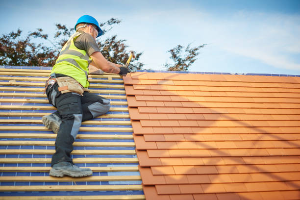 Professional Roofing services in Laurel, DE